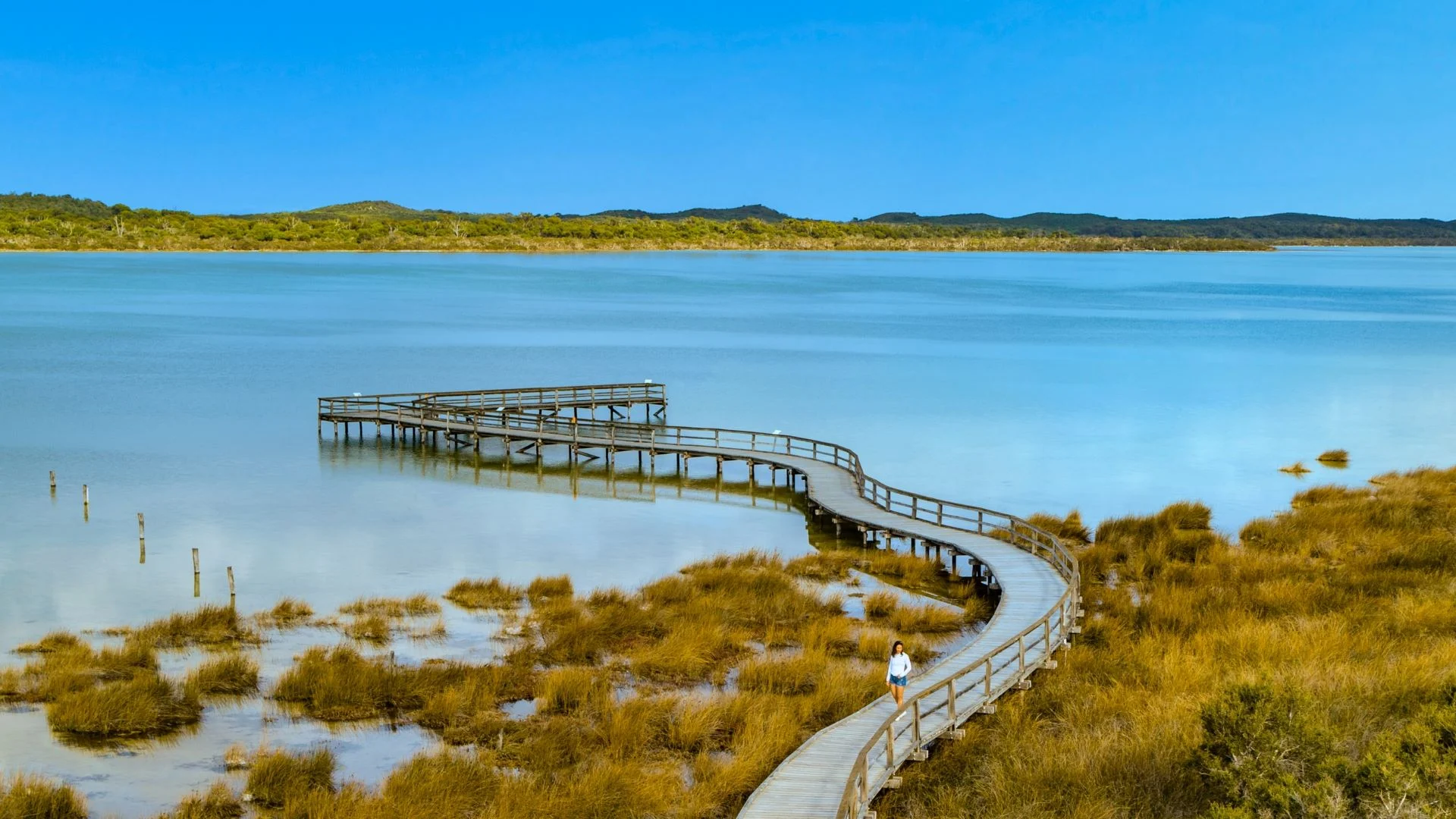 A winding wooden boardwalk extends over the tranquil Lake Clifton, surrounded by tall, golden-brown grasses. The boardwalk leads to a small viewing platform. A woman is walking along the path under a clear blue sky. Distant hills are in the background.