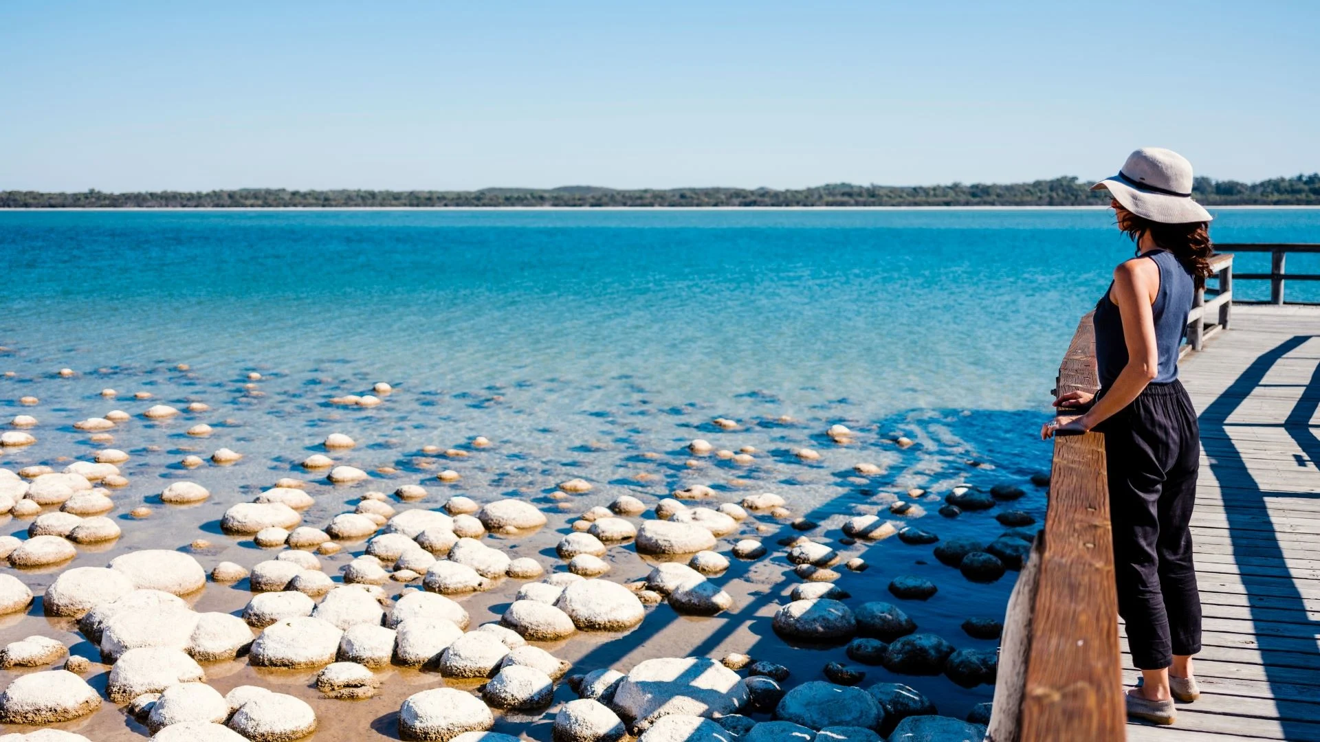 A woman in a sun hat and casual outfit stands on a wooden boardwalk, gazing out at the clear blue waters of a lake. Below her, round, white thrombolites emerge from the shallow water. The horizon is lined with green vegetation under a bright blue sky.