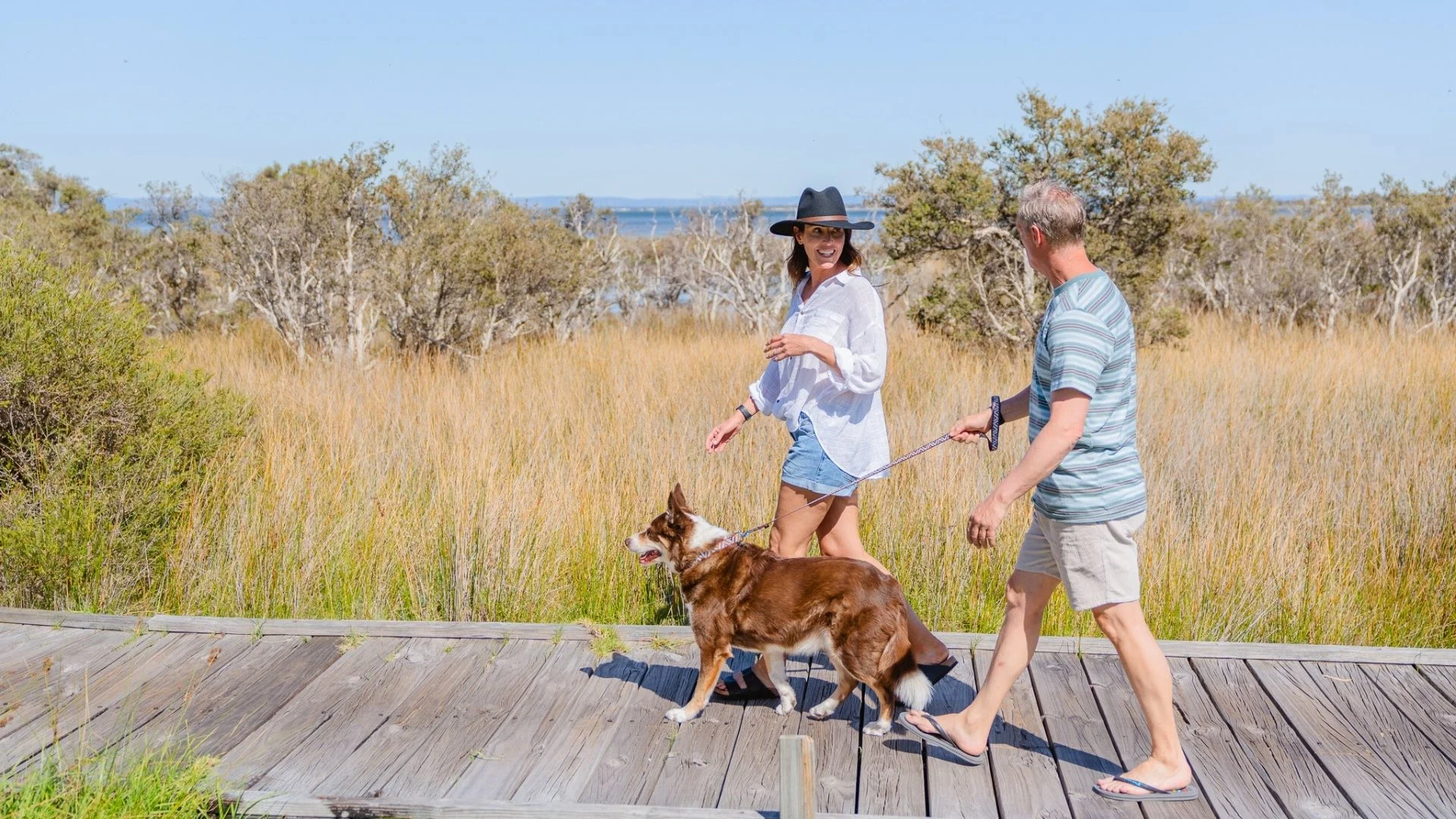 A couple walks a brown and white dog on a wooden boardwalk through a grassy marsh area. The woman wears a black hat and white shirt; the man wears a striped shirt and shorts. Its a sunny day with a clear sky and distant trees in the background.