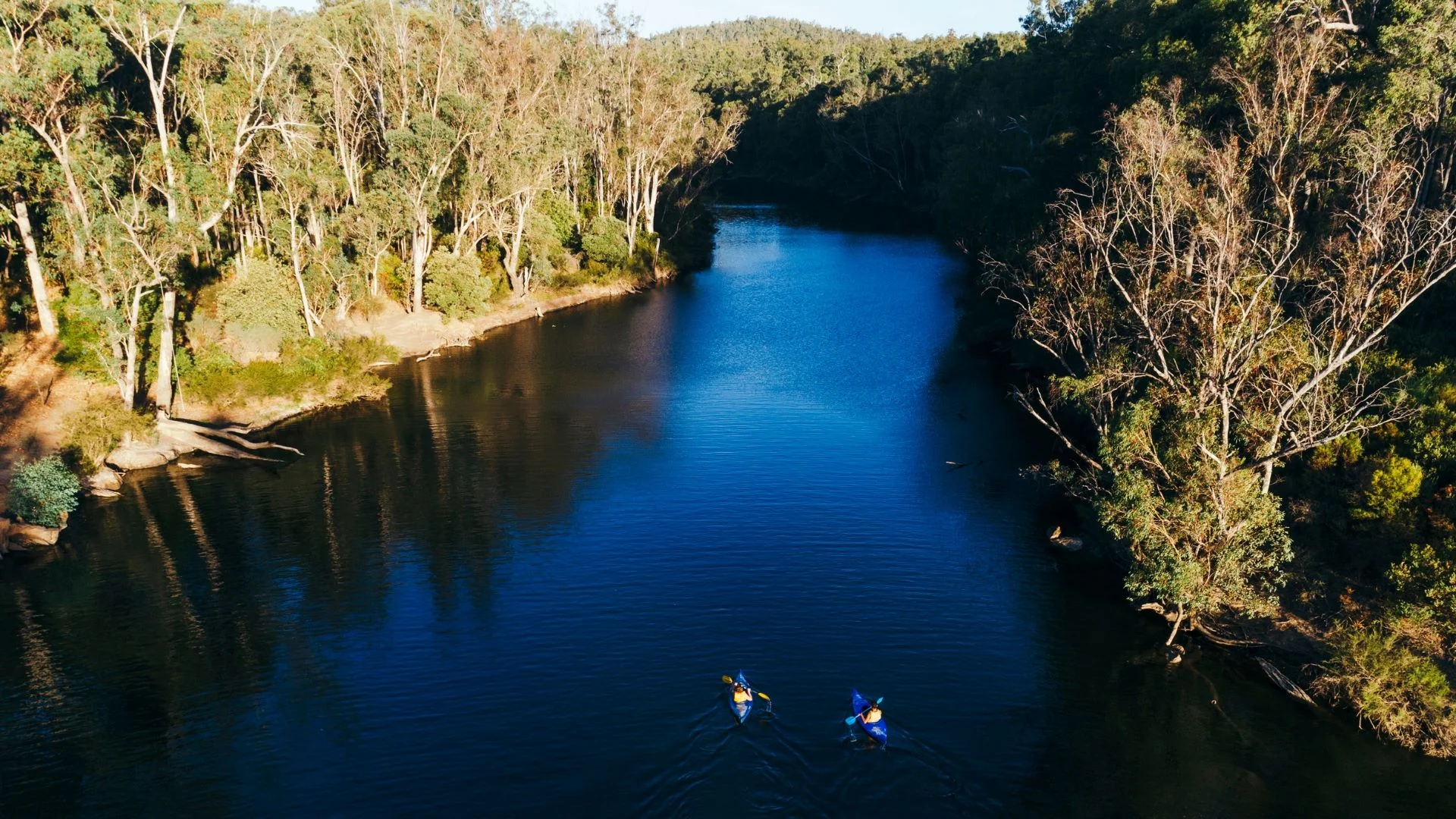Two kayakers paddle along the tranquil Murray River, surrounded by lush native bushland at Lane Poole Reserve in Dwellingup. The calm waters and golden sunlight create a perfect setting for outdoor adventure.