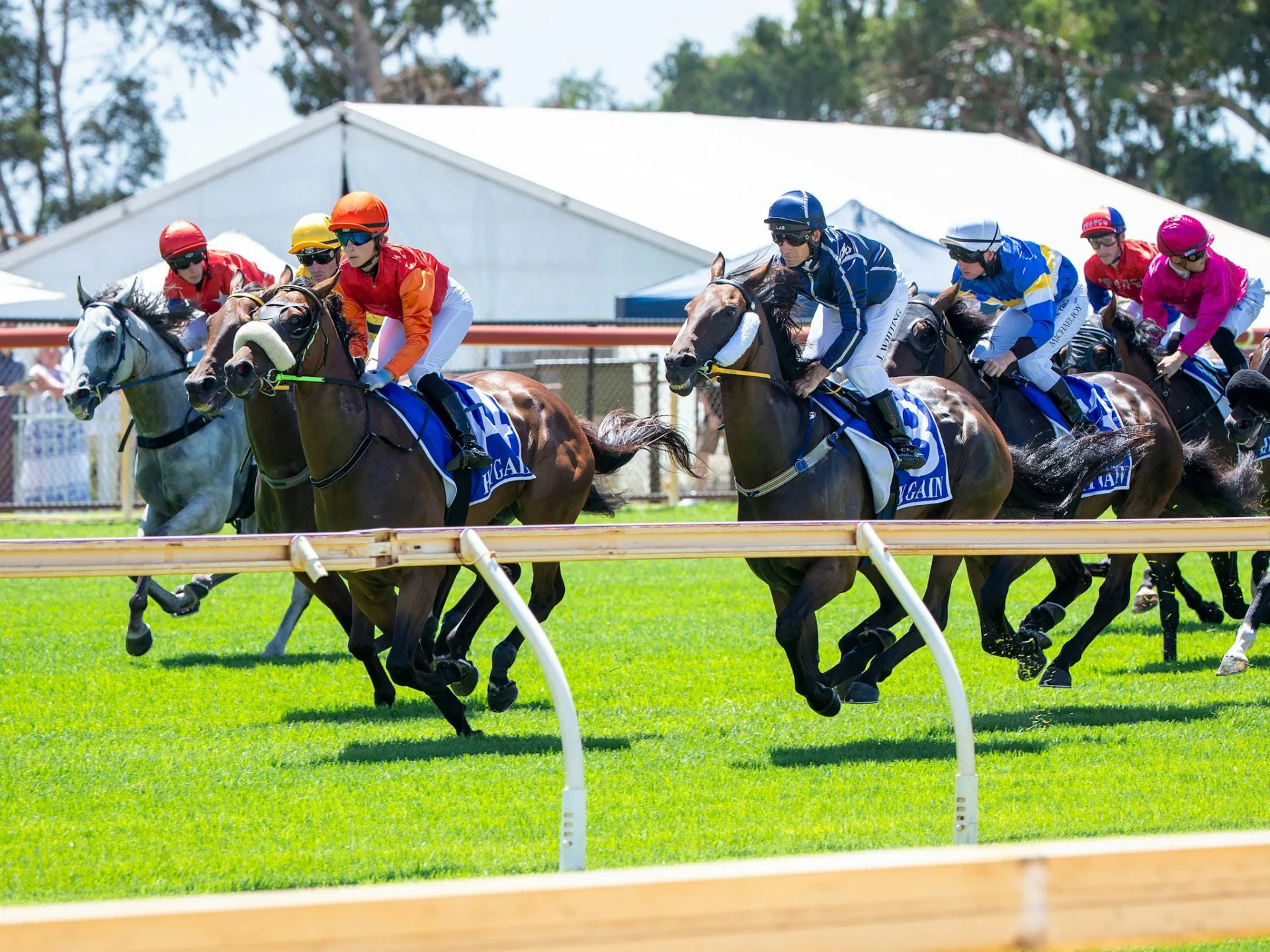 Horses Racing at Pinjarra Park
