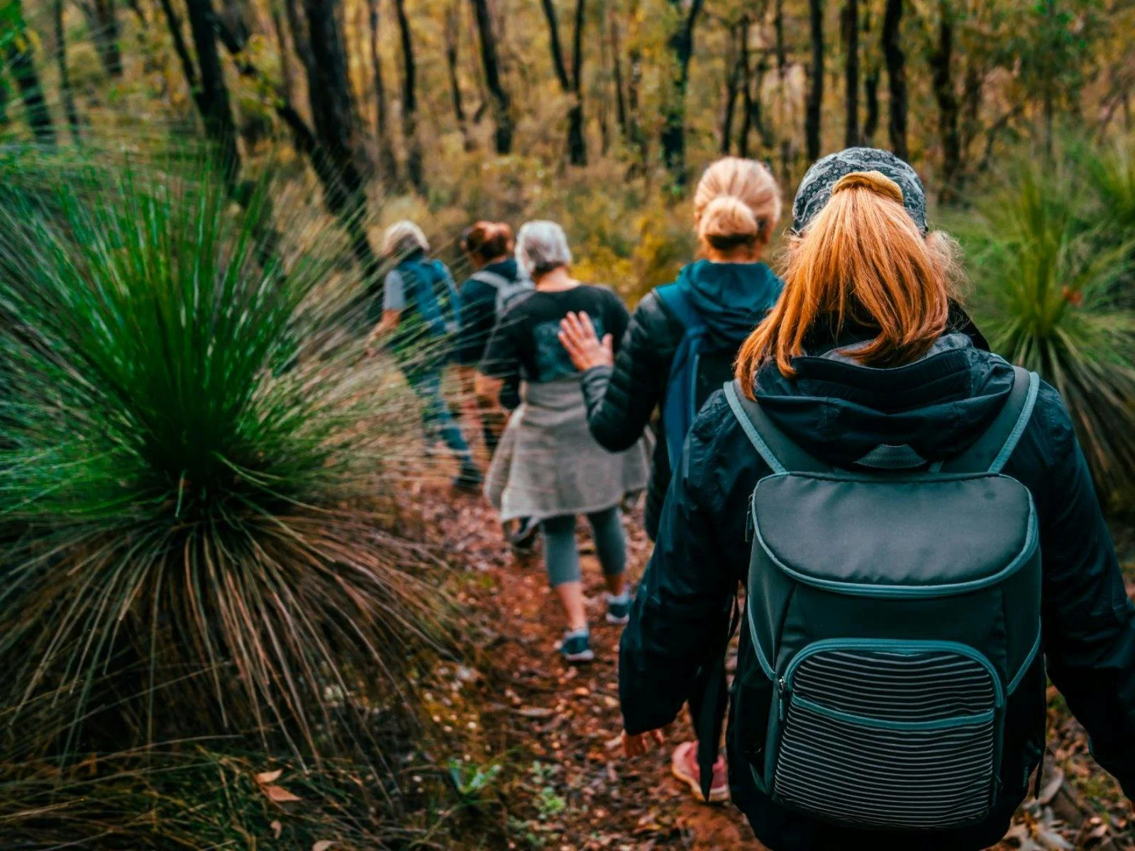 hiking araluen