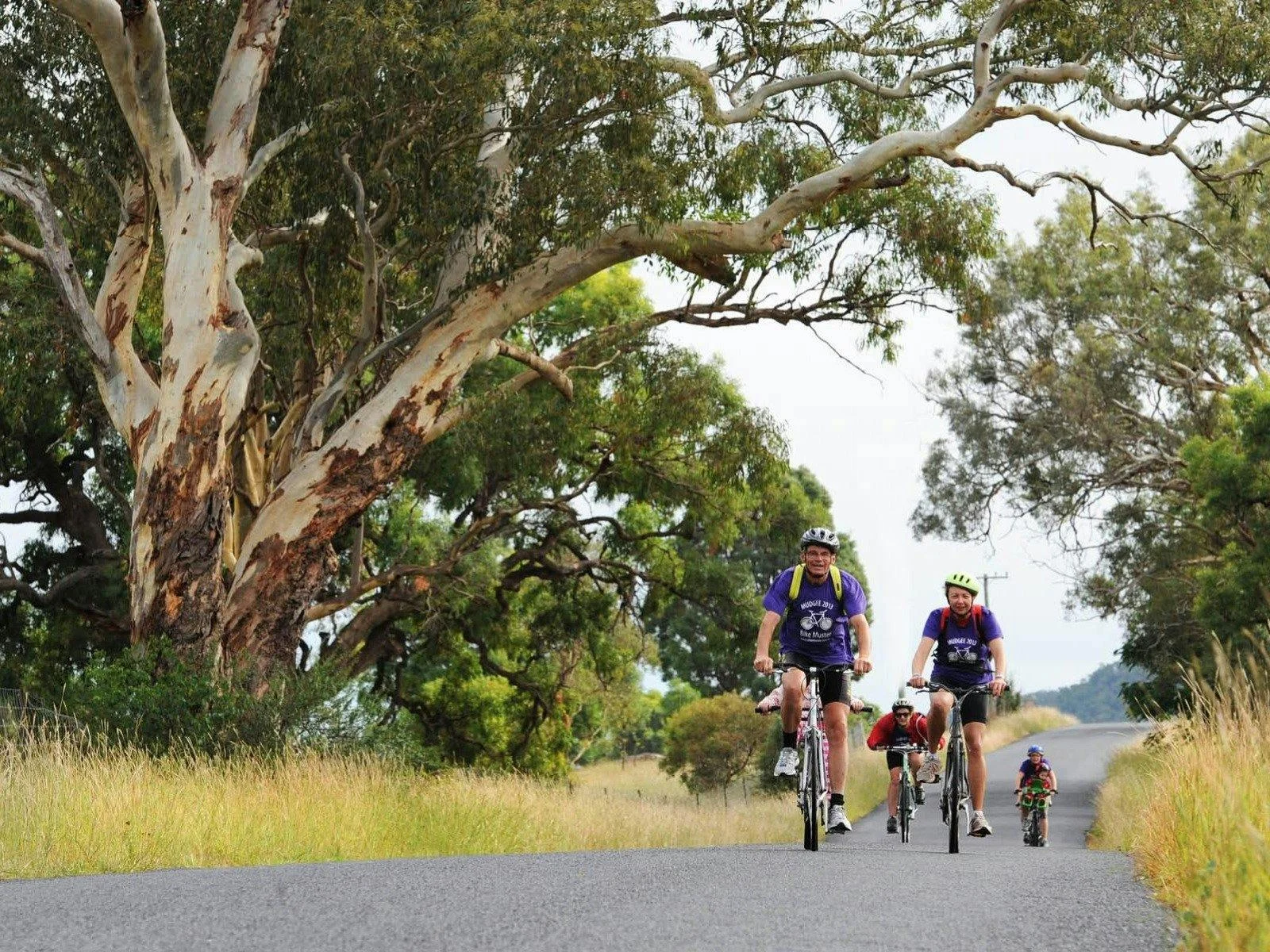Self guided cycling in Mudgee