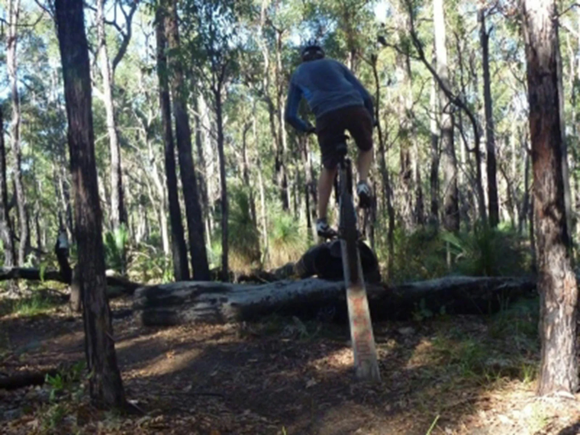 Turner Hill Mountain Bike Trail, Murray, Waroona, Western Australia