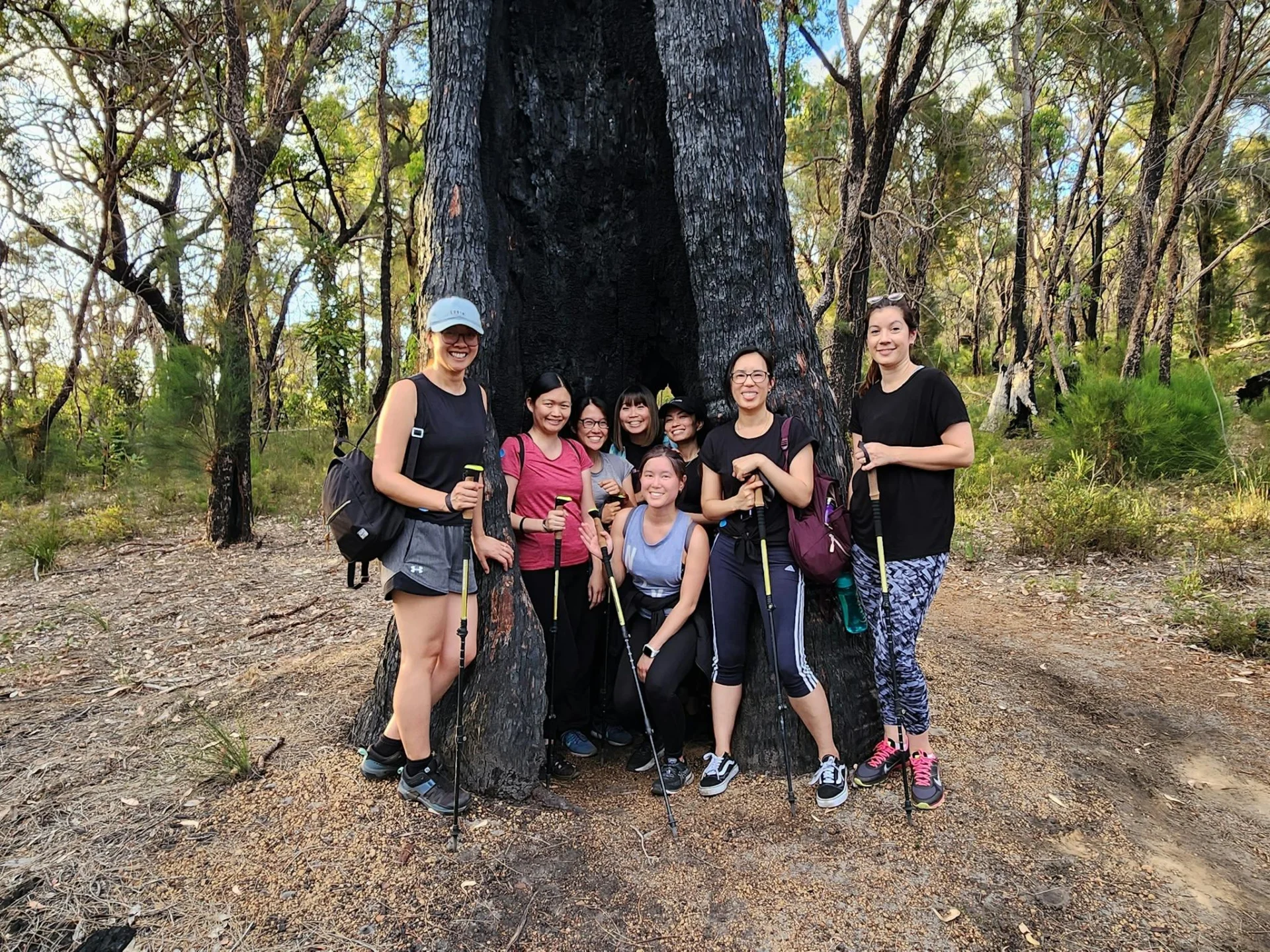 Group of Hikers standing in a tree with forest behind them
