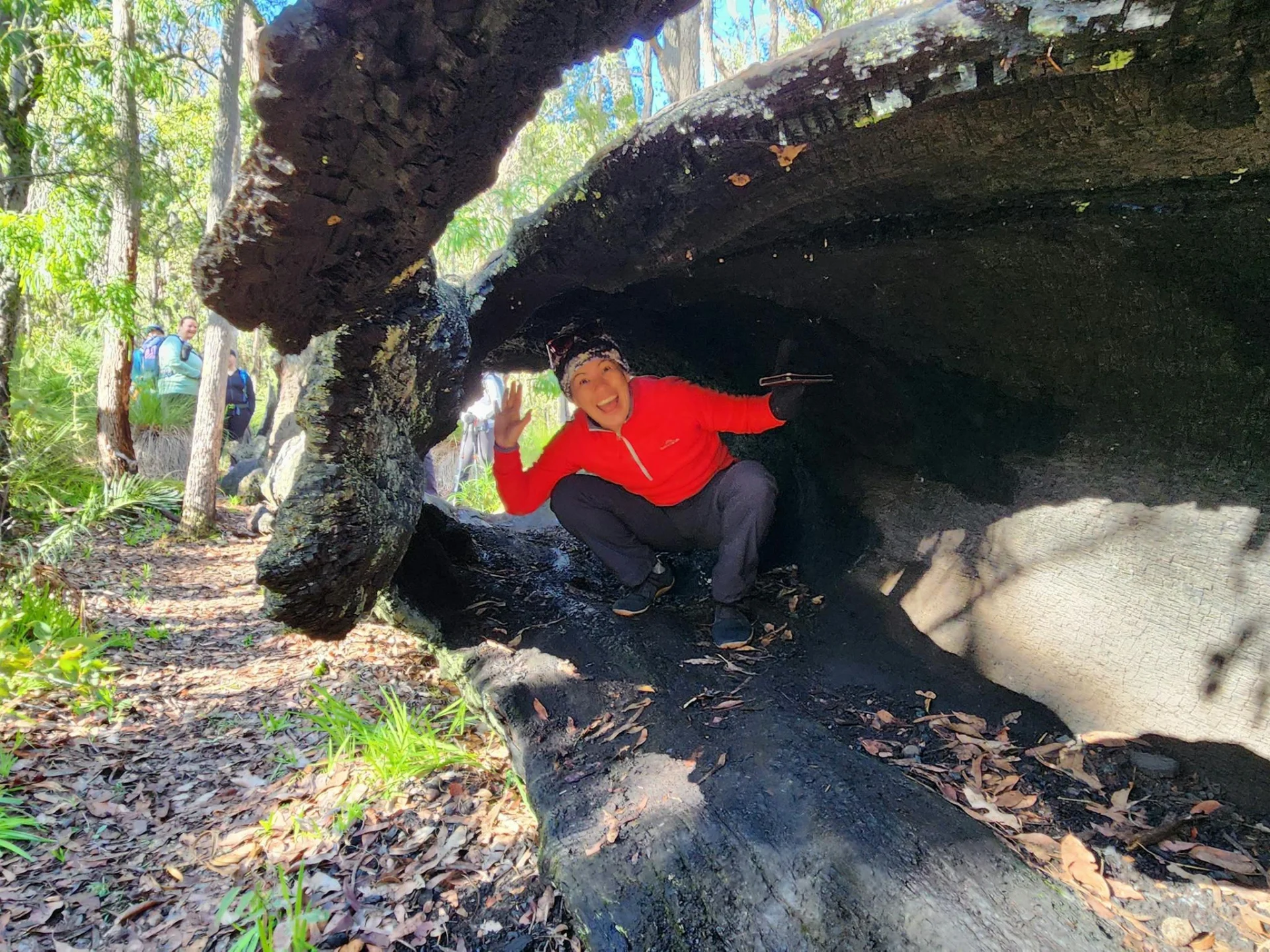 hiker climbing through tree with big smile on her face.