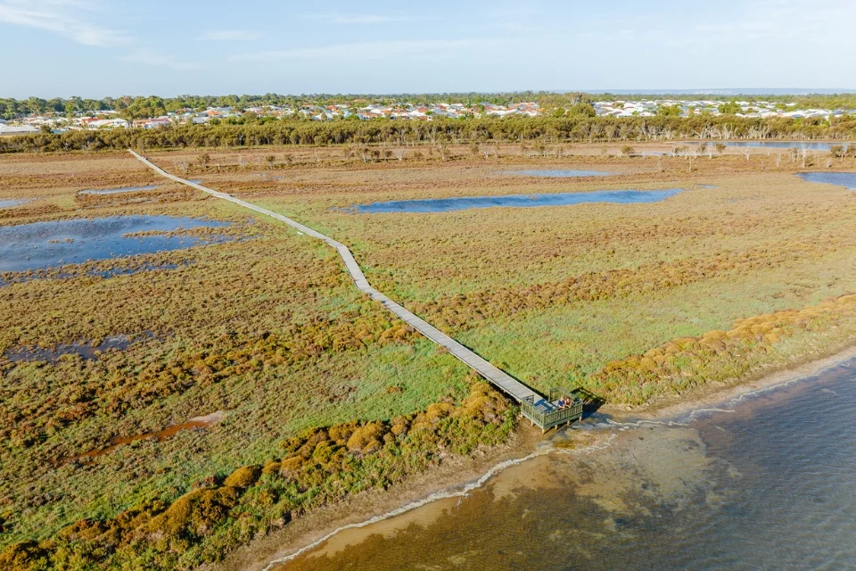 Aerial view of a long boardwalk stretching across a marshland with patches of water, leading to a distant residential area. The landscape features grasses and shrubs, under a clear blue sky.
