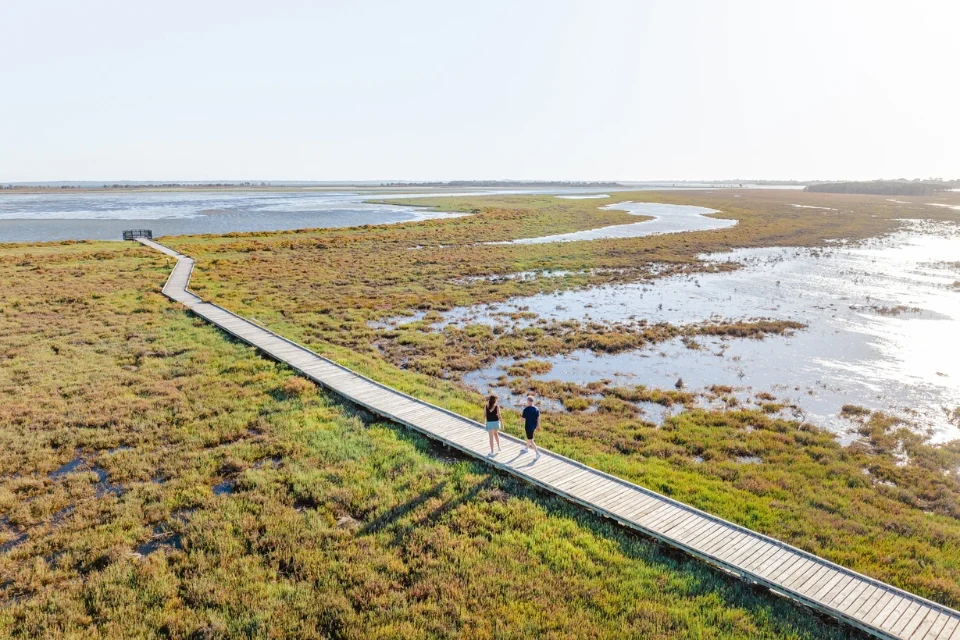 Aerial view of two people walking on a long wooden boardwalk through a marshland. The area is lush with grasses and patches of water, under a clear blue sky.