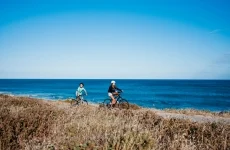 Two people ride bicycles on a path beside the ocean under a clear blue sky, with dry grass and plants in the foreground.
