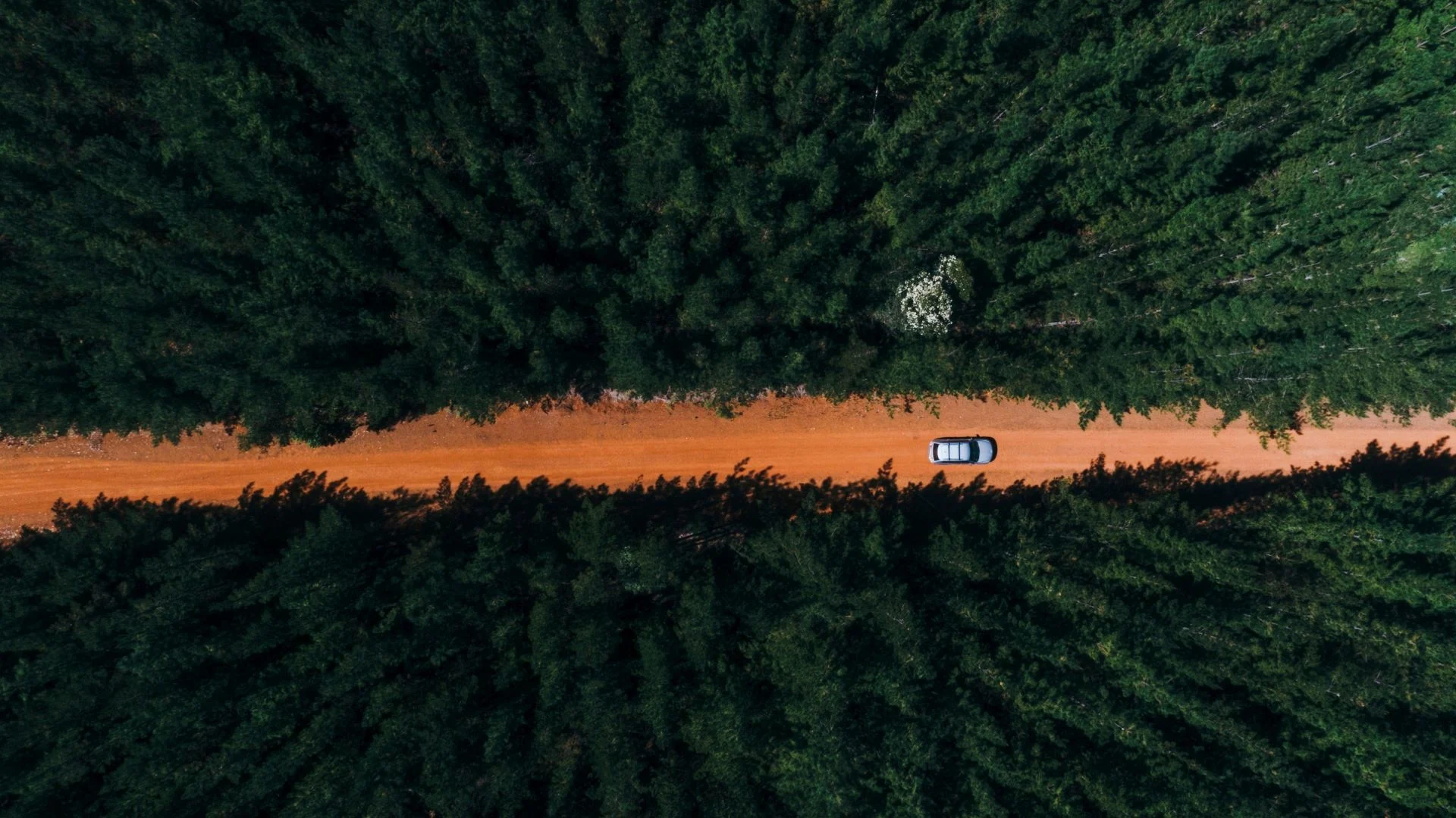 Aerial view of a car driving on a straight, reddish dirt road surrounded by dense, green forest on both sides.