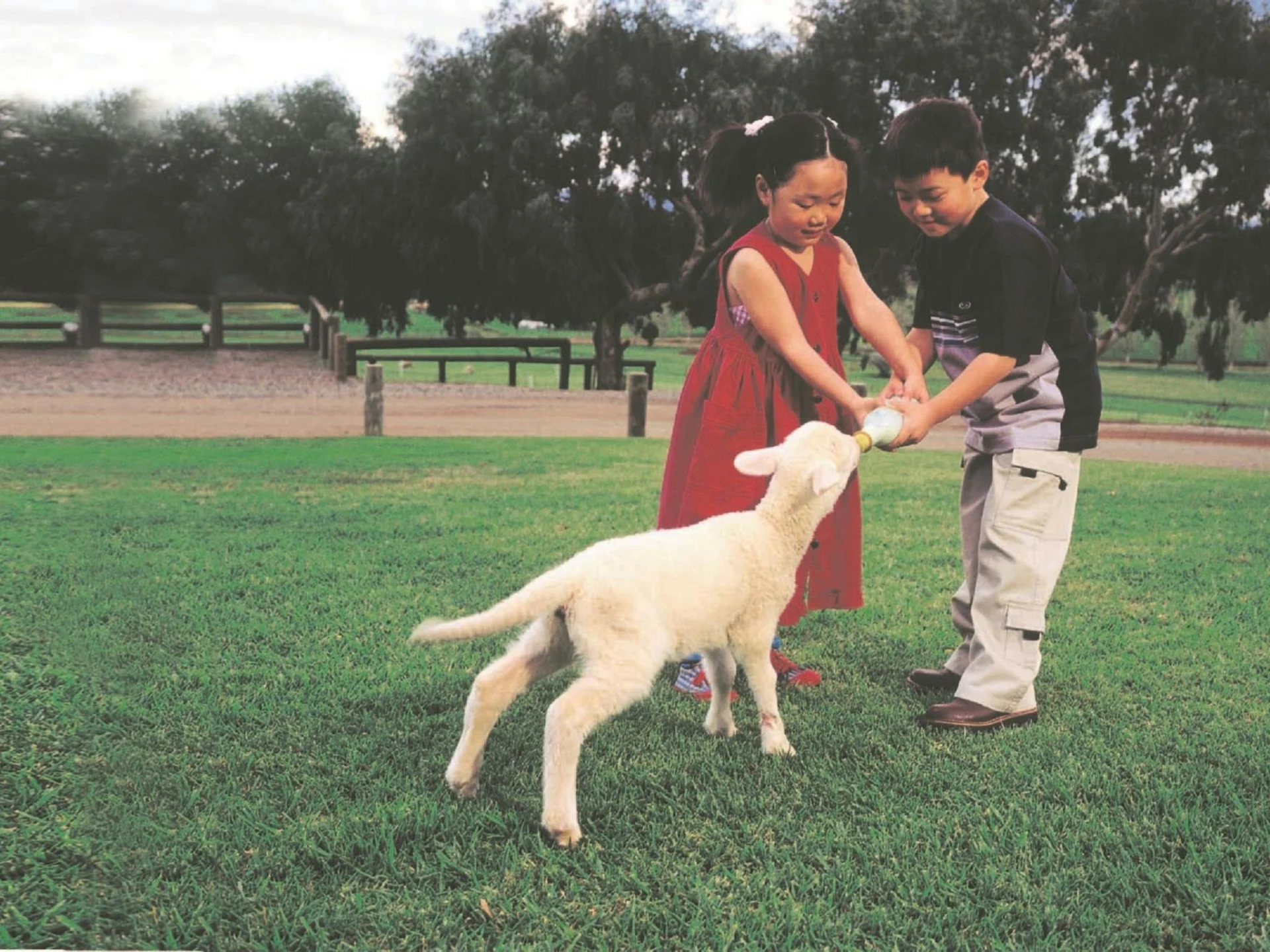 Mundijong, Western Australia