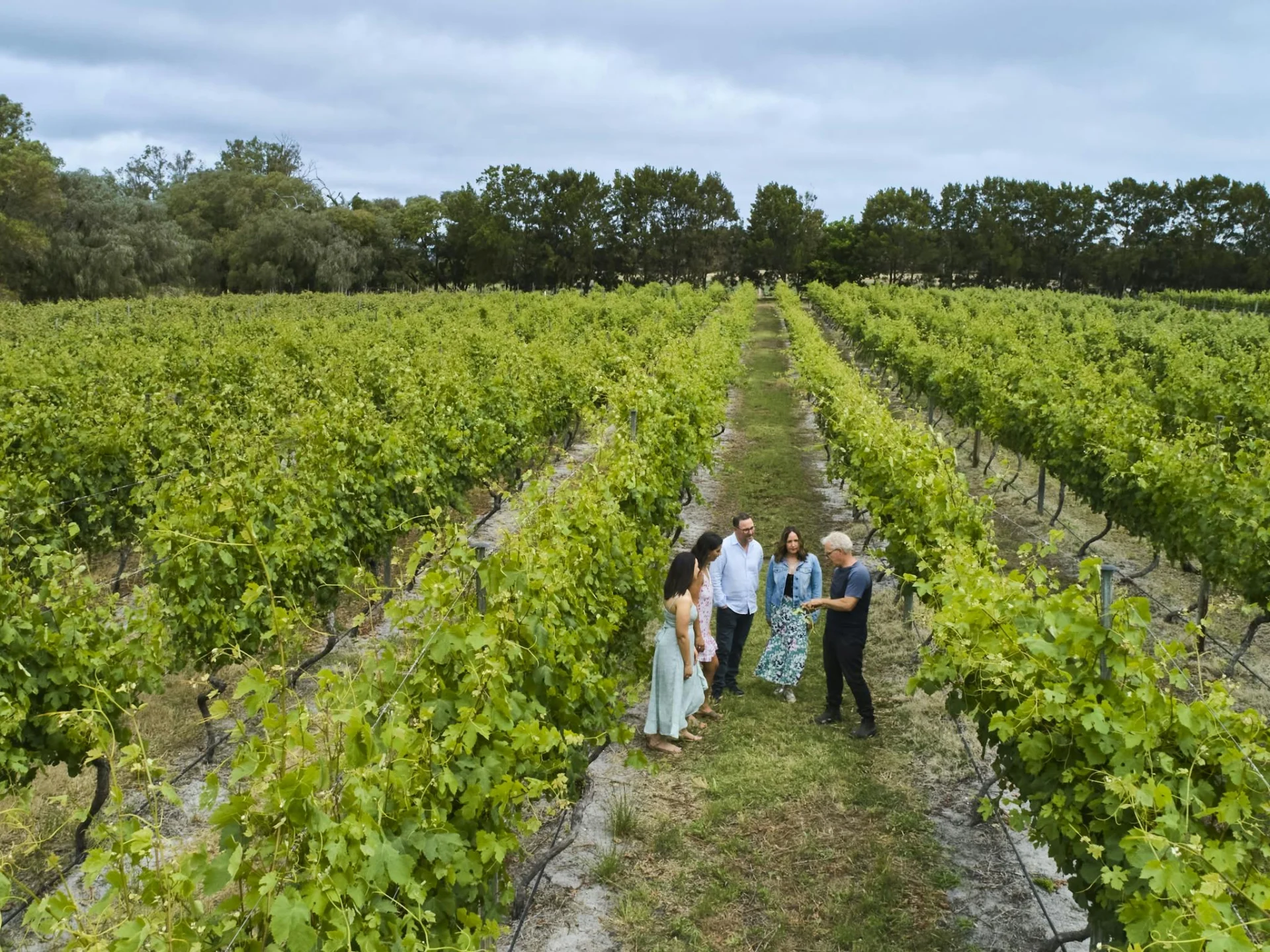 5 people in our vineyard learning about how grapes are grown
