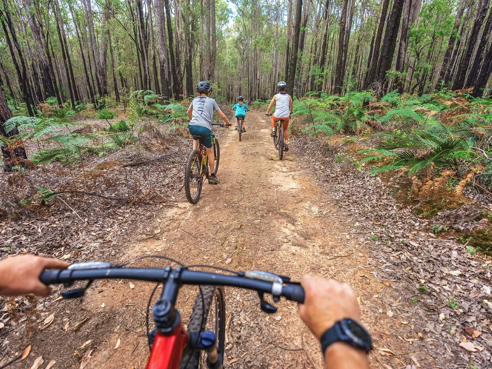 Riding the beautiful trails surrounding Dwellingup