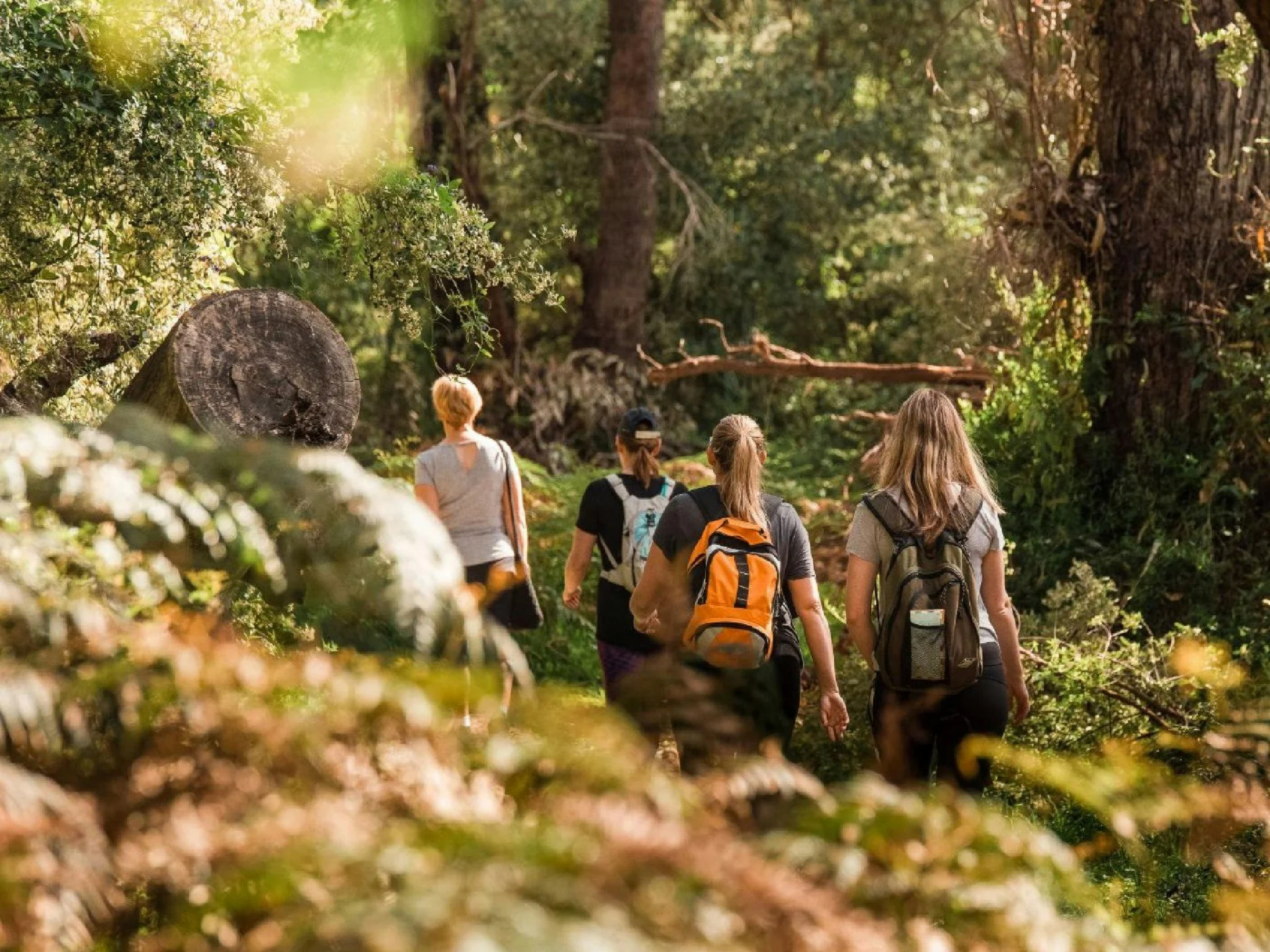 The Hike Collective, Parkerville, Western Australia