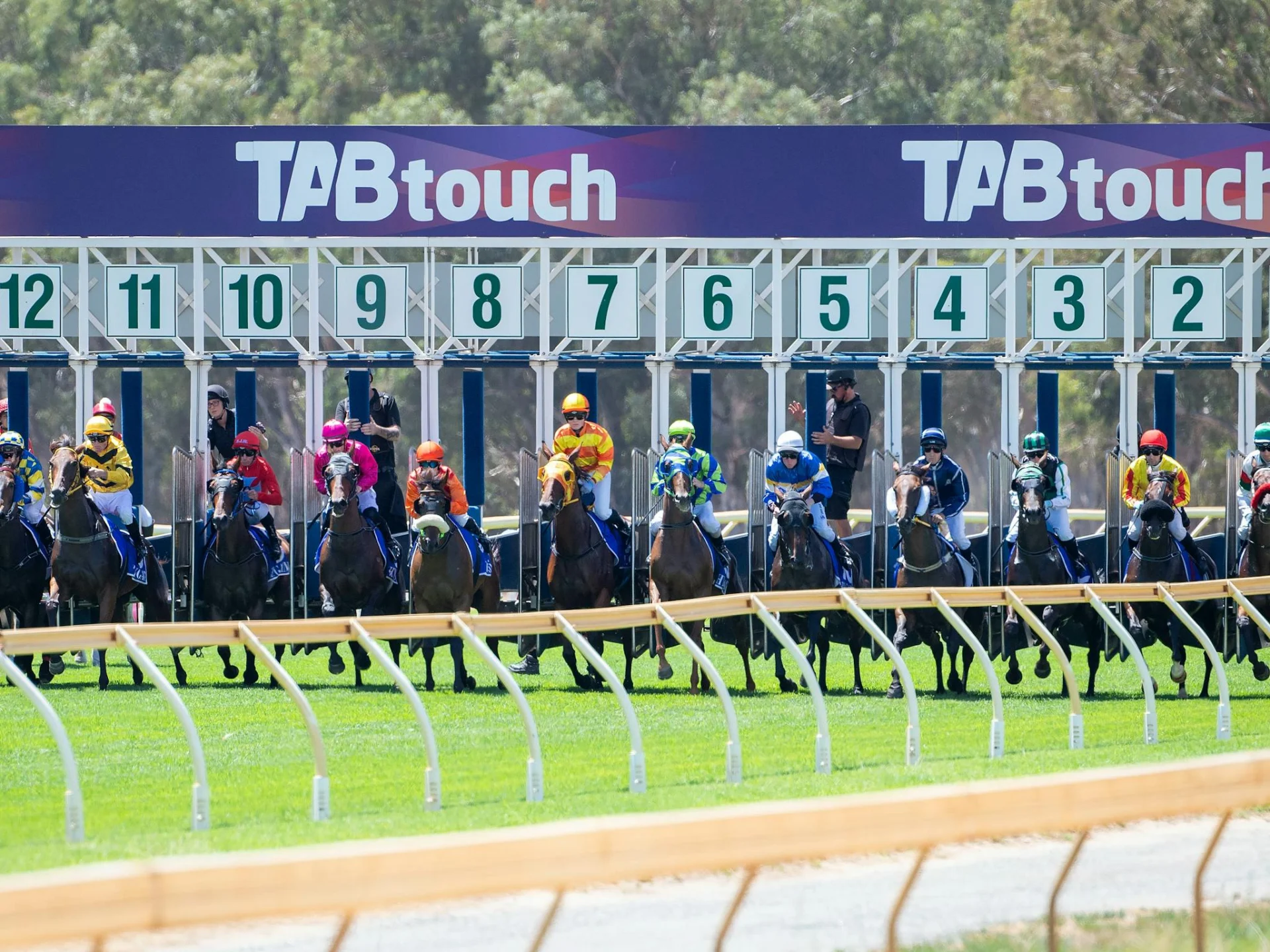 Starting Barrier at Pinjarra Park