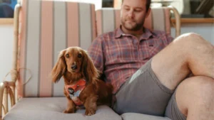 A man sits on a cushioned outdoor chair wearing a plaid shirt and shorts. A brown dachshund dog in a harness sits beside him, looking at the camera. Shopping bags are visible in the background.