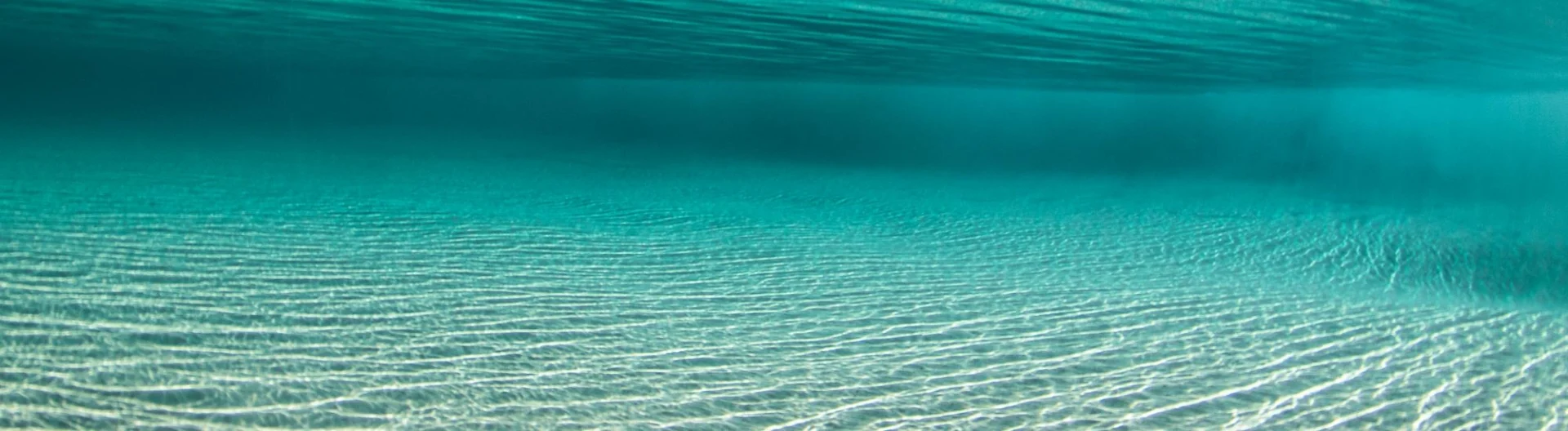 View of a clear, shallow underwater scene with sunlight creating wavy patterns on the sandy sea floor and a blue-green gradient fading into deeper water.