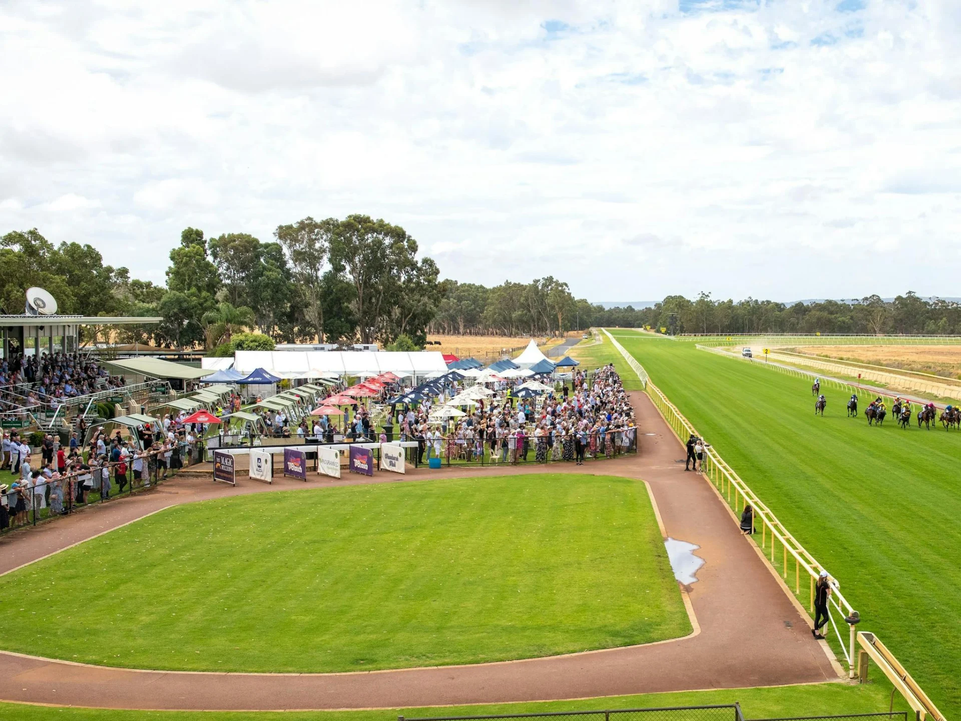 Crowd and Horses Racing at Pinjarra Park
