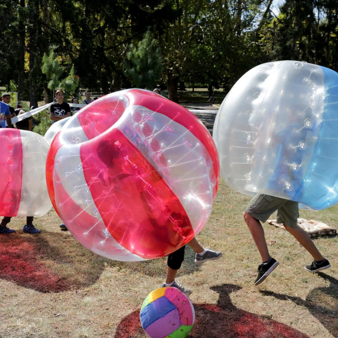 People are playing bubble soccer in a park, wearing large inflatable bubbles. Two players, one in a red bubble and another in a blue bubble, are about to collide near a colorful soccer ball on the grass.