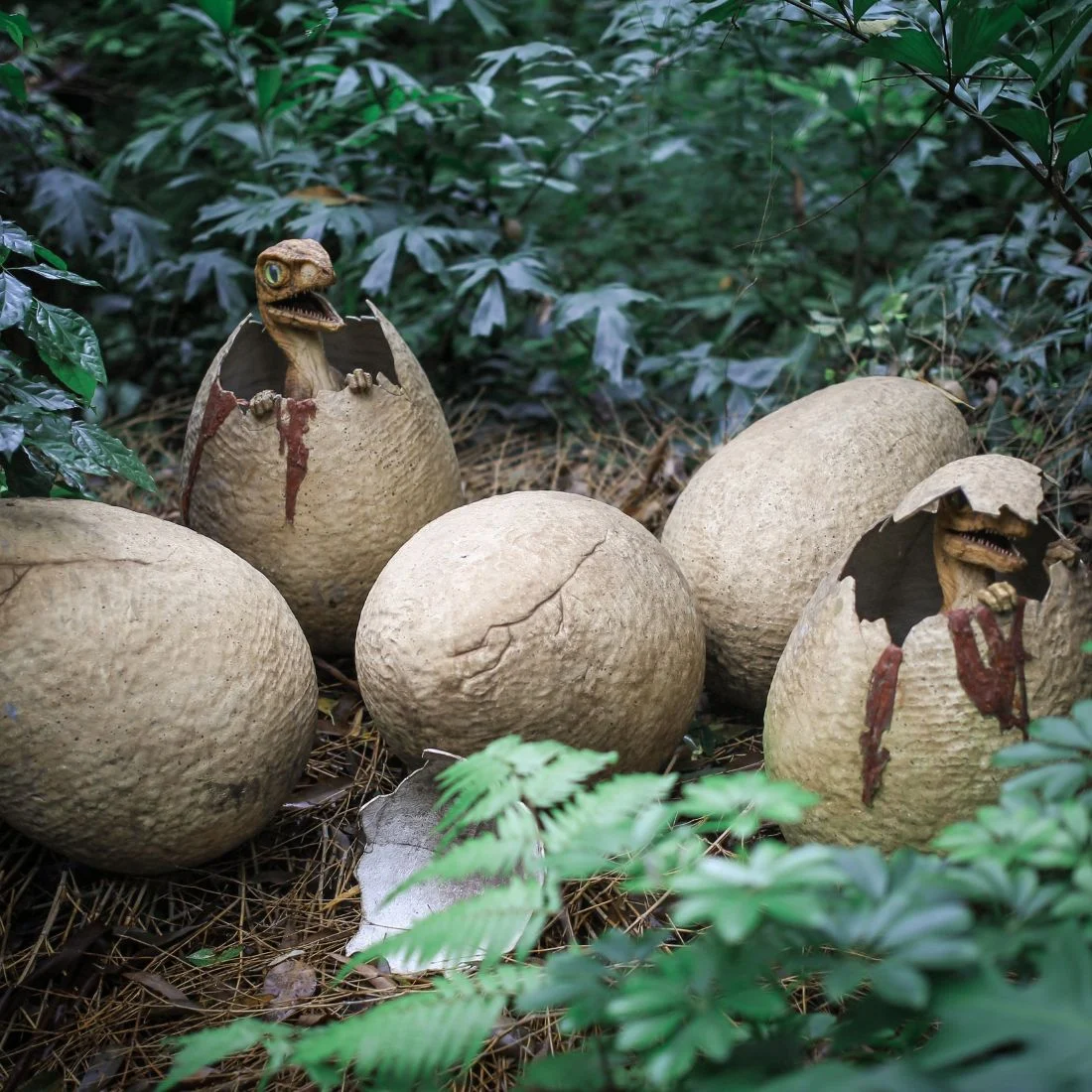 Four large dinosaur eggs on the forest floor; two eggs are cracked open with baby dinosaurs emerging, surrounded by green plants and foliage.