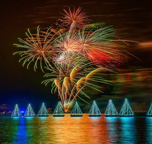 Fireworks-on-foreshore-with-lights