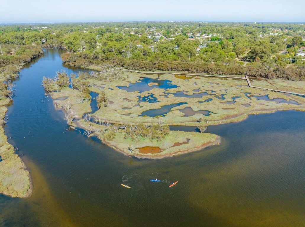 Aerial view of a river winding through a marshy area with patches of greenery; three people are kayaking on the water. Houses and trees are visible in the background under a clear blue sky.