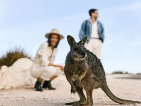 Adventure by Air - South Australia