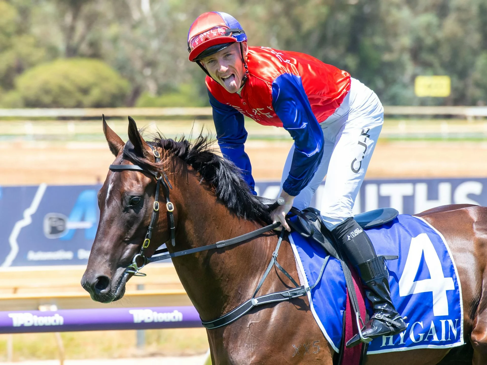 Jockey on the track at Pinjarra Park