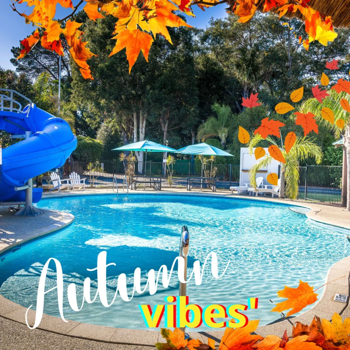 A swimming pool with a blue slide, surrounded by lounge chairs and umbrellas, with autumn leaves scattered around and overlaid text that reads "Autumn vibes".