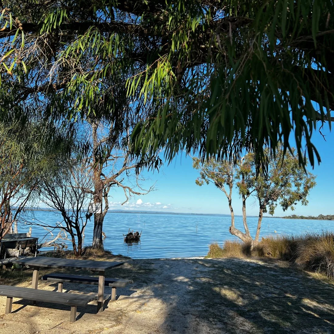 A picnic bench and table sit under shady trees near a sandy path leading to a calm lake. A small boat floats on the water, and the sky is clear and blue. Trees and shrubs surround the peaceful lakeside scene.
