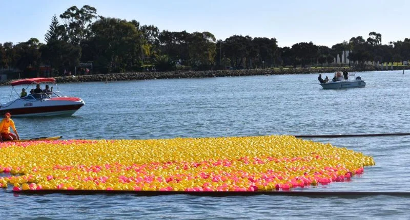 A large raft of yellow and pink rubber ducks floats on blue water, with a red and white speedboat and a smaller boat in the background, and trees and buildings along the shoreline.