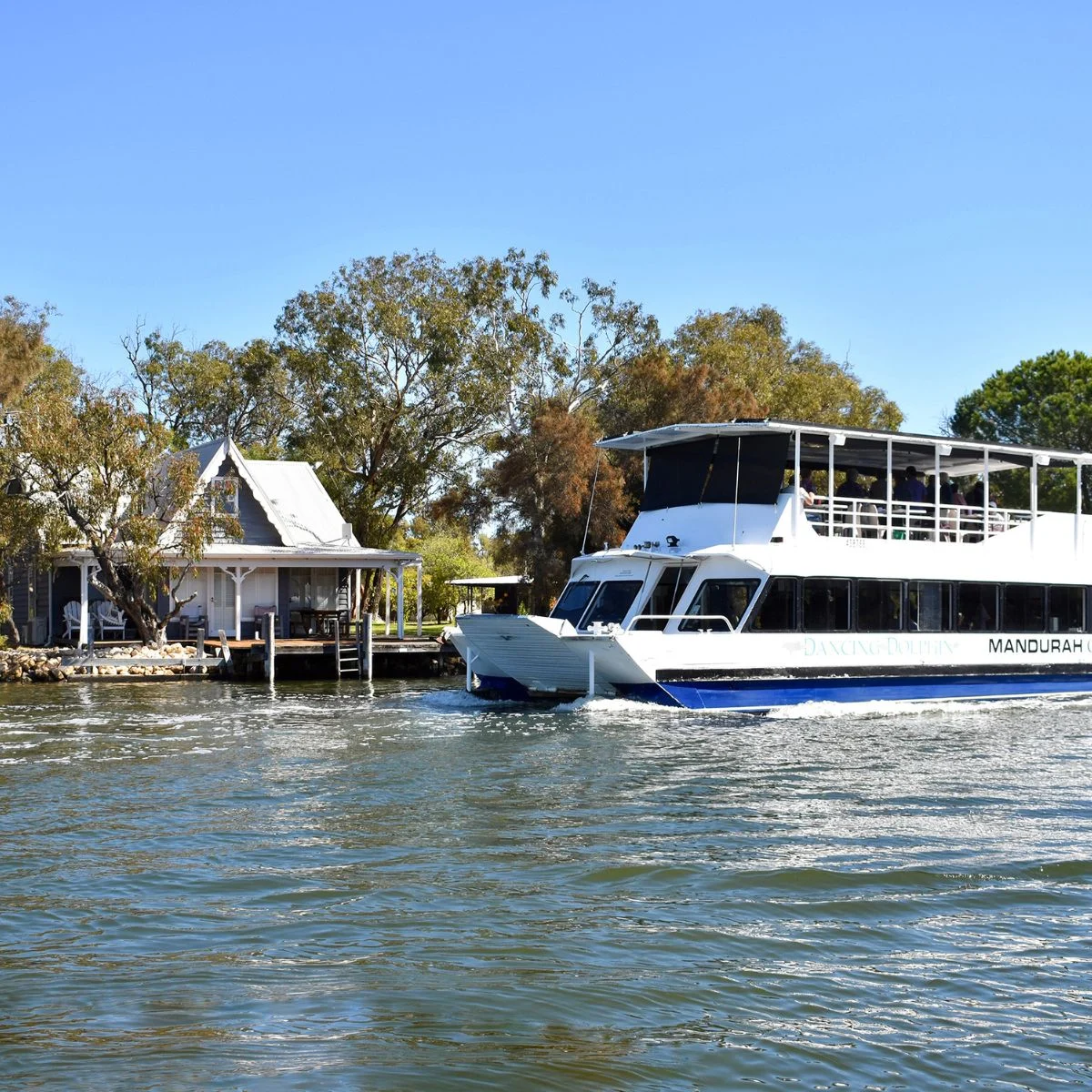A white passenger boat with blue trim sails on the Murray River in Mandurah past a house with a white roof and porch.