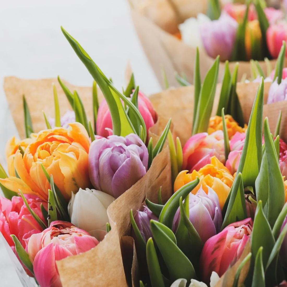 A close-up of several bouquets of tulips in various colors including pink, purple, orange, and white, wrapped in brown paper.