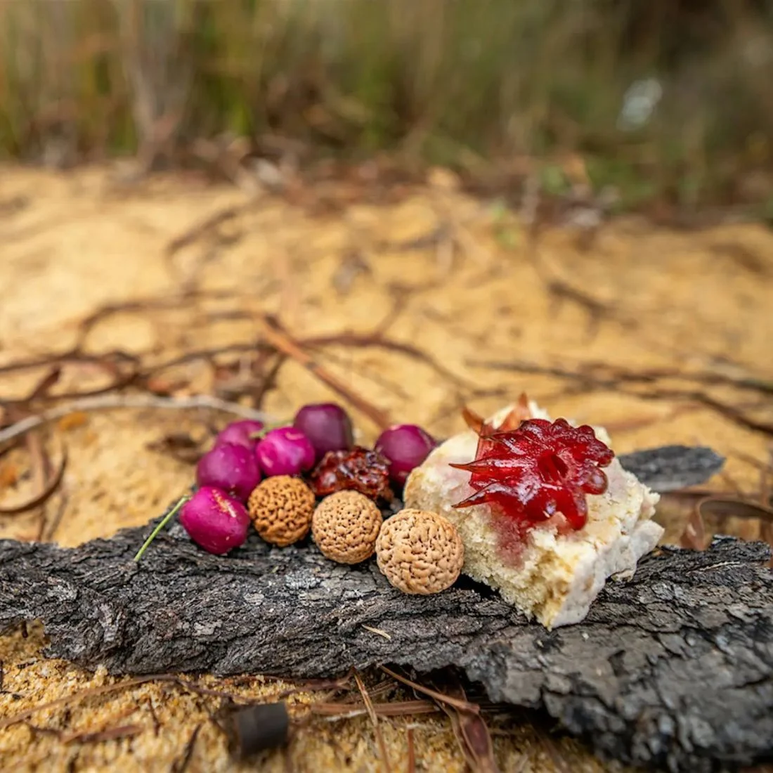 A close-up of different types of seeds, pink and brown berries, and a white, rough textured snack topped with red jelly, all arranged on a piece of tree bark on sandy ground with blurred natural background.