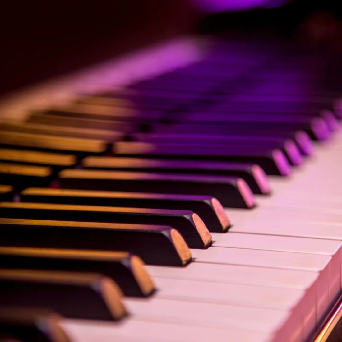 A close-up, low-angle shot of piano keys illuminated by purple and orange lights.