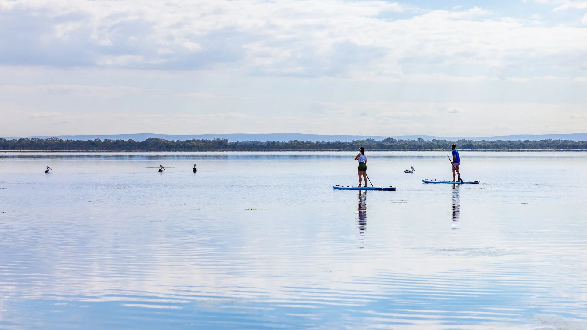 Two people paddleboarding on a calm lake with a tree line and hills in the background under a cloudy sky.