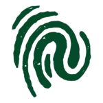A simple, green fingerprint illustration with thick, uneven lines forming spiral and curved patterns on a white background.