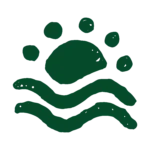 Abstract green shapes on a white background, including a large semicircle, five small dots above, and two wavy lines below, resembling a sun over waves.