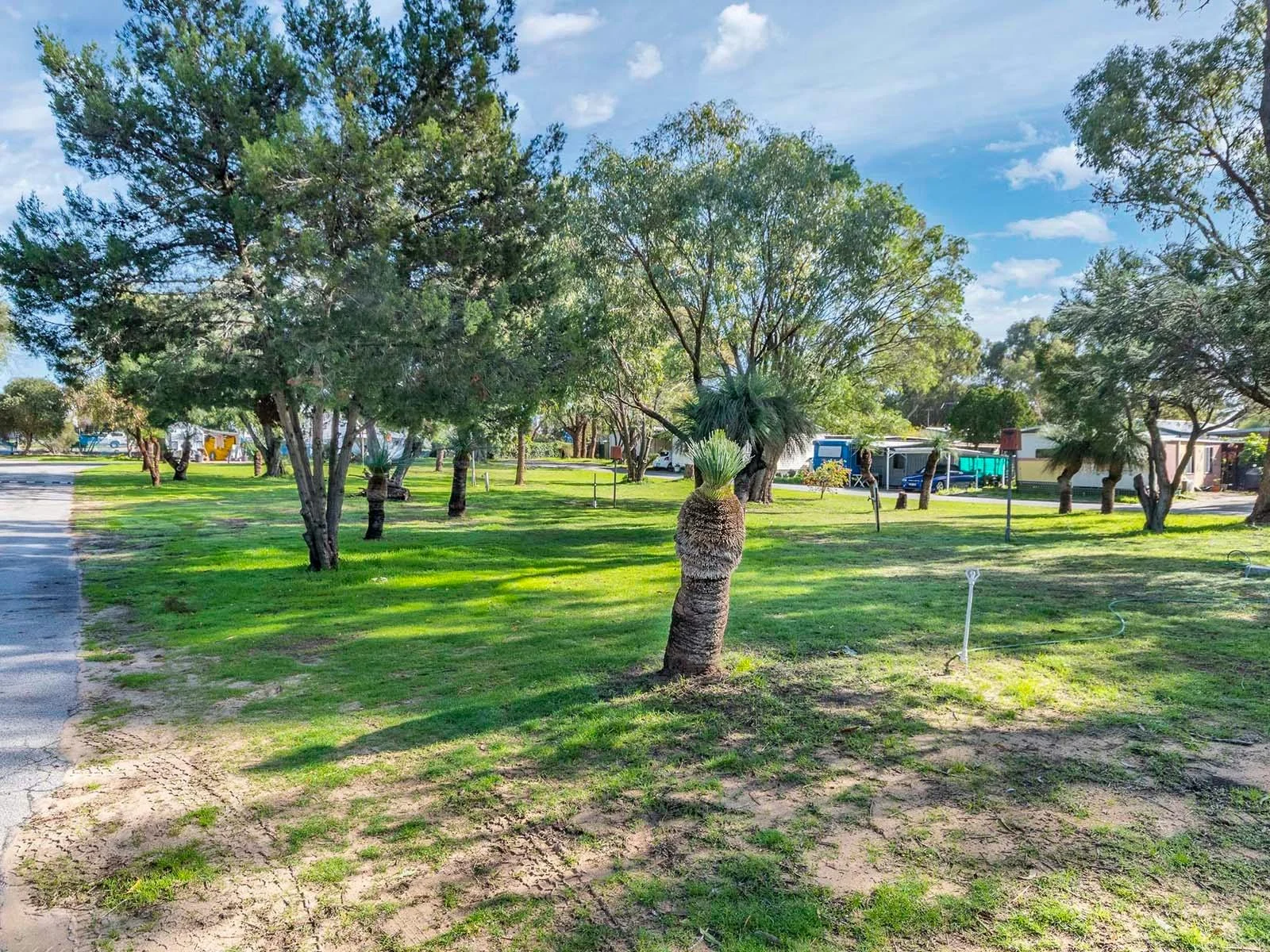 Grass site