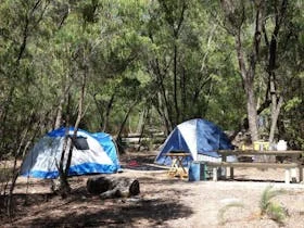 Martins Tank Campground