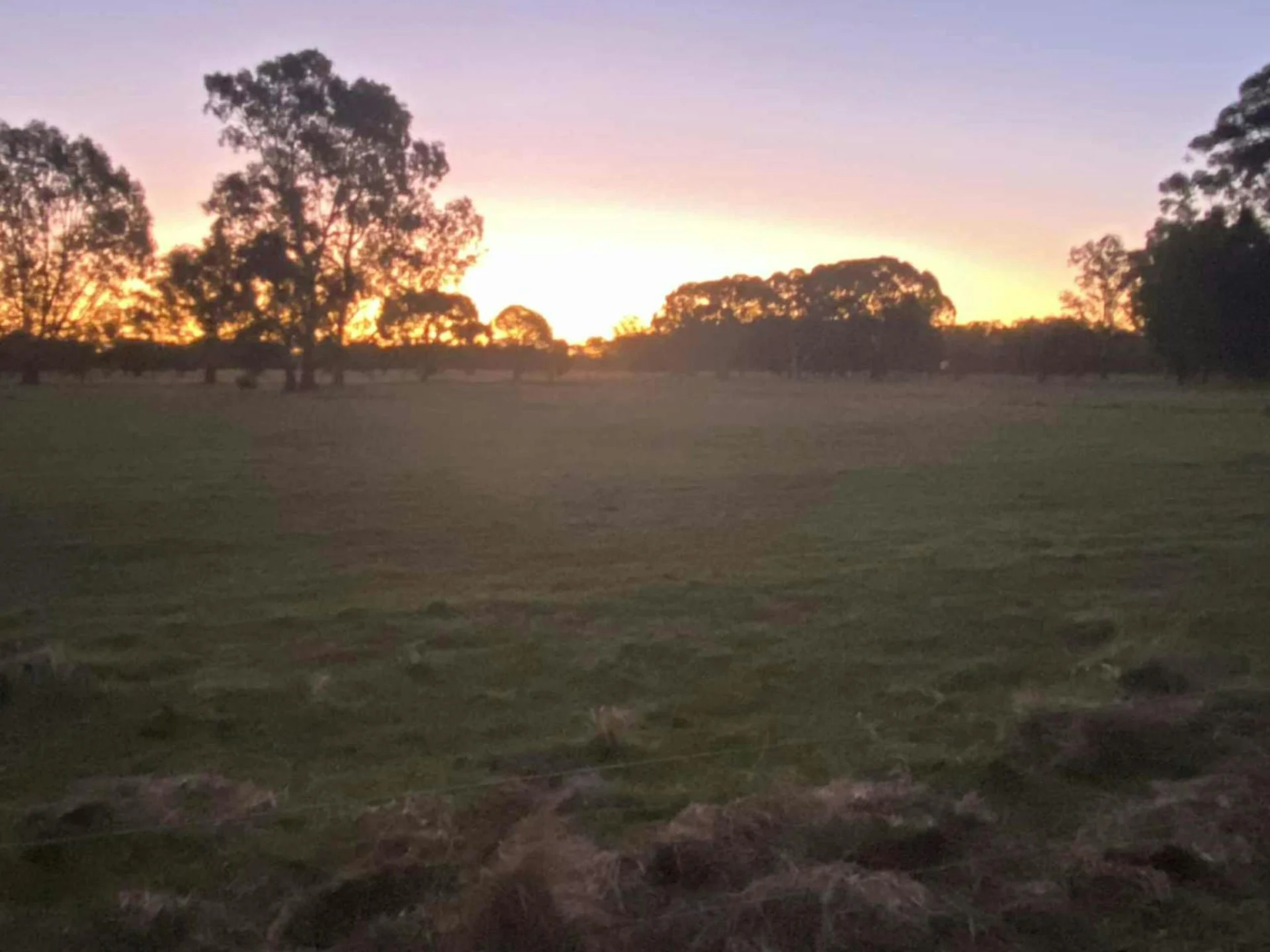 Lazy Acres Farmstay - Serpentine WA