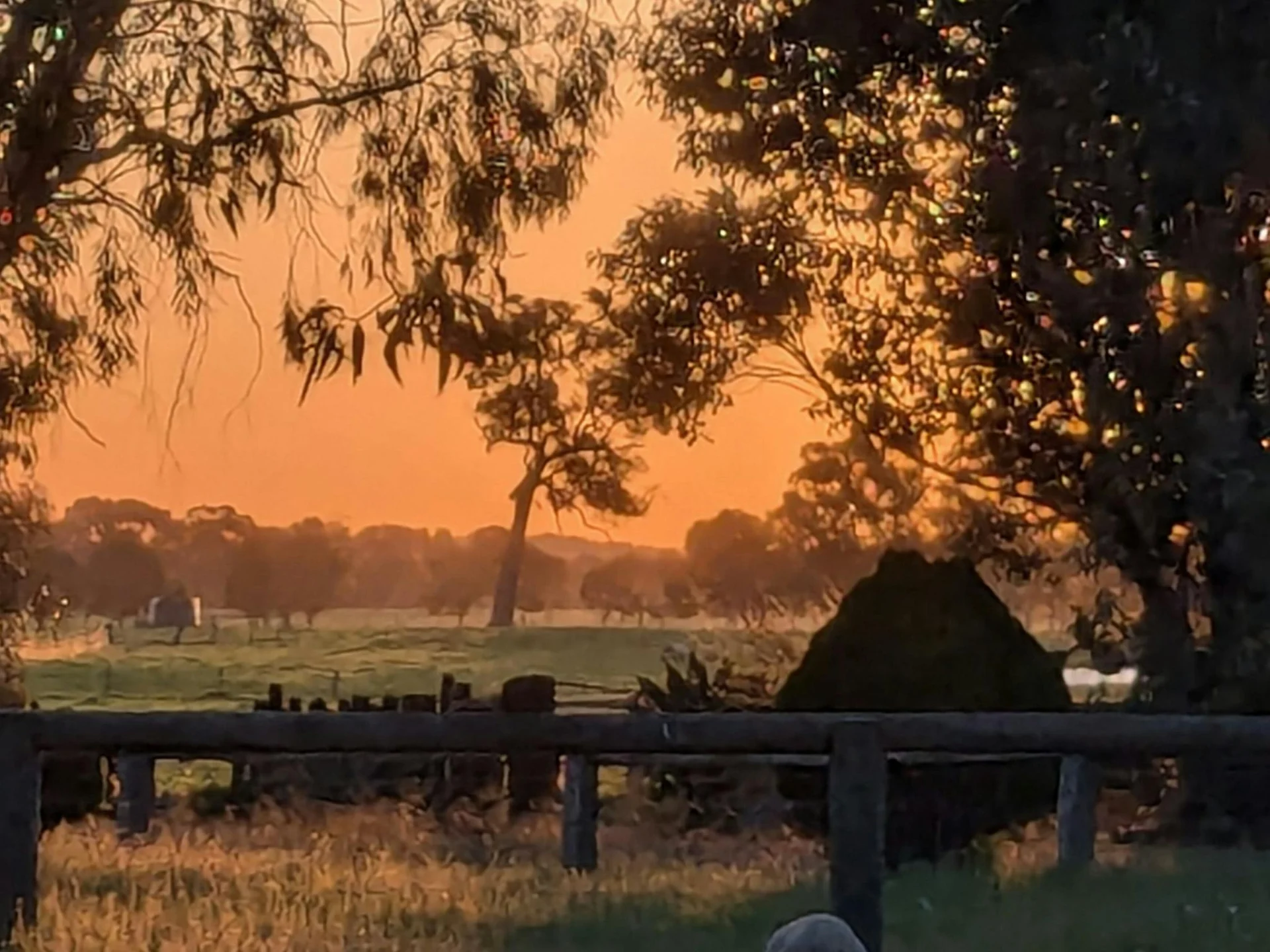 Mello Farm
