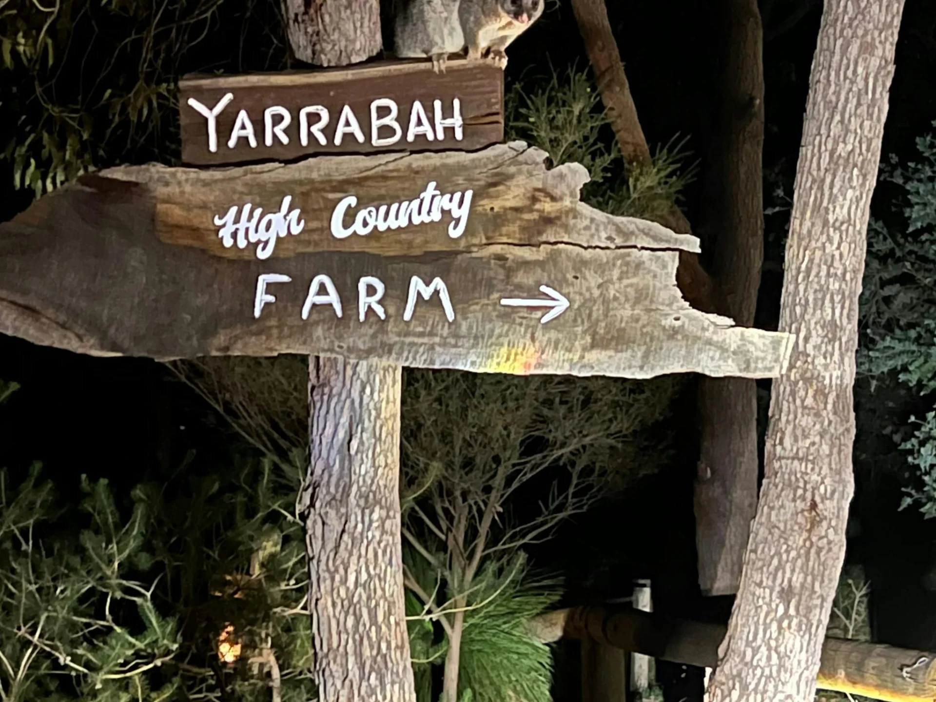 Yarrabah High Country- Jarrahdale