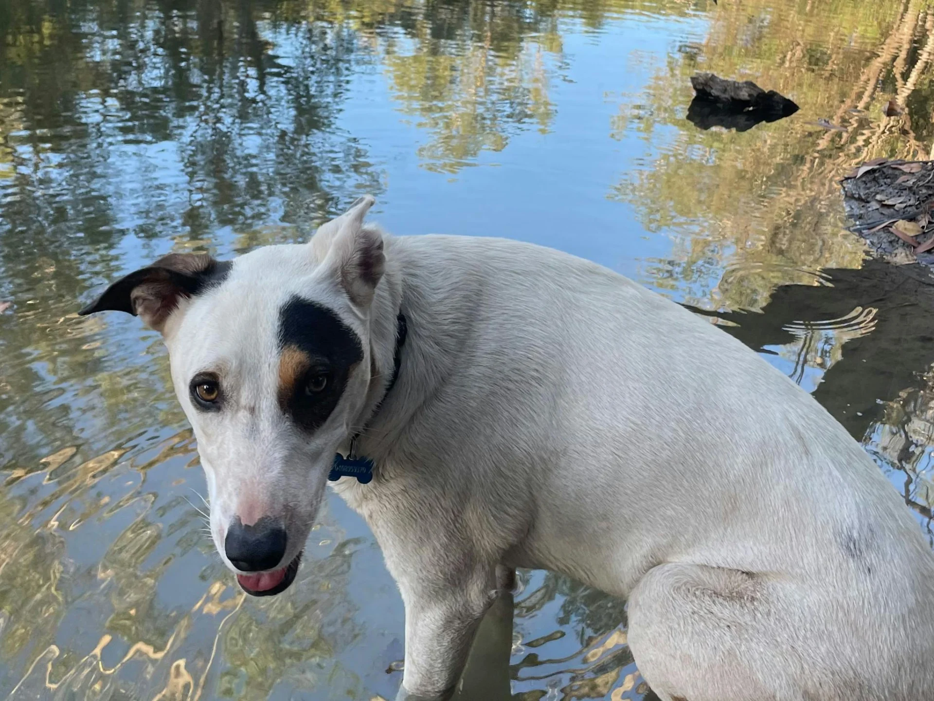 Cooling off 