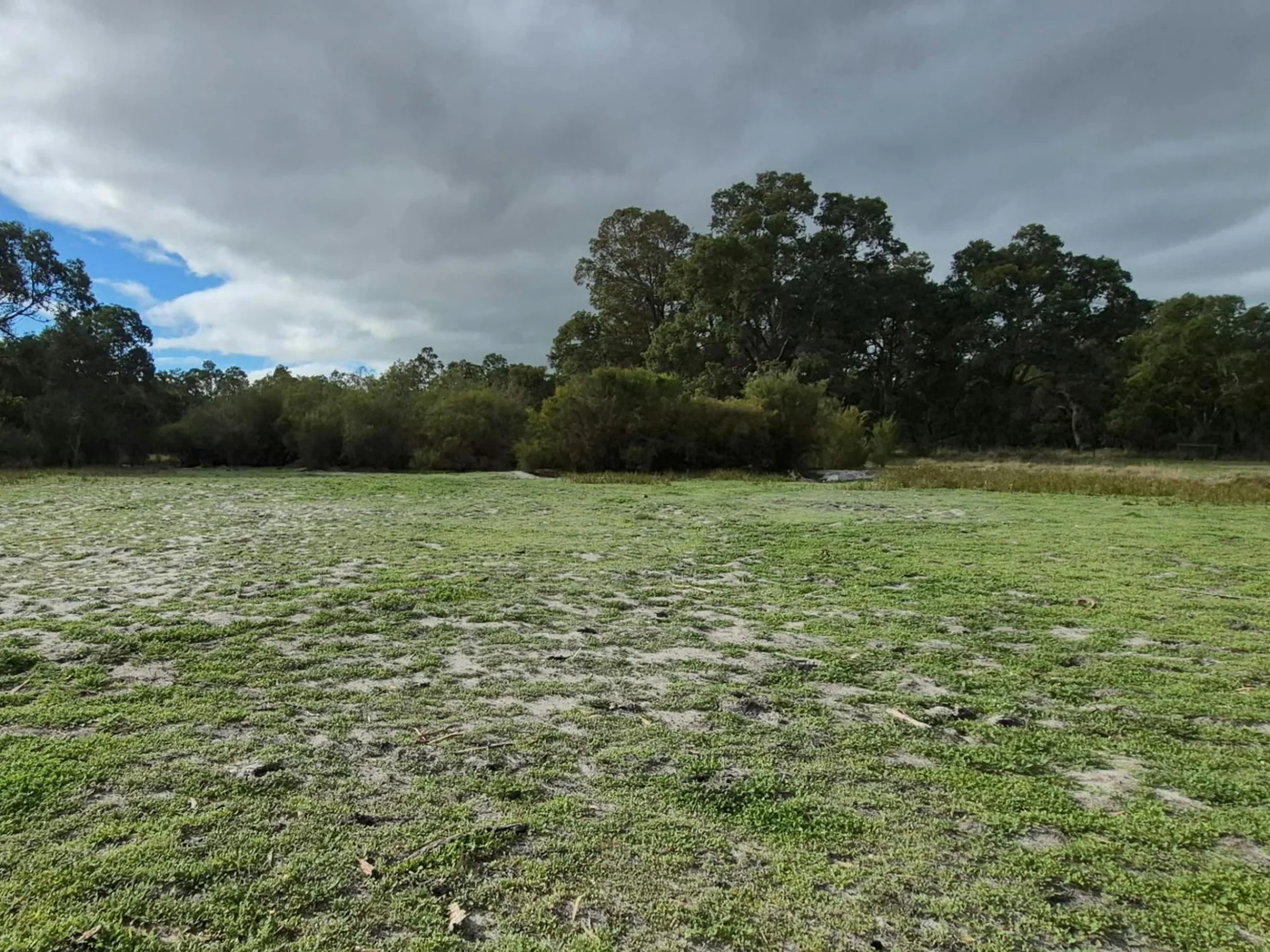 Casuarina Bush Farm Camping