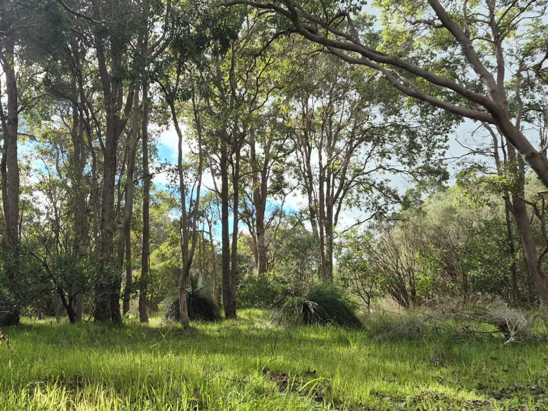 Casuarina Bush Farm Camping