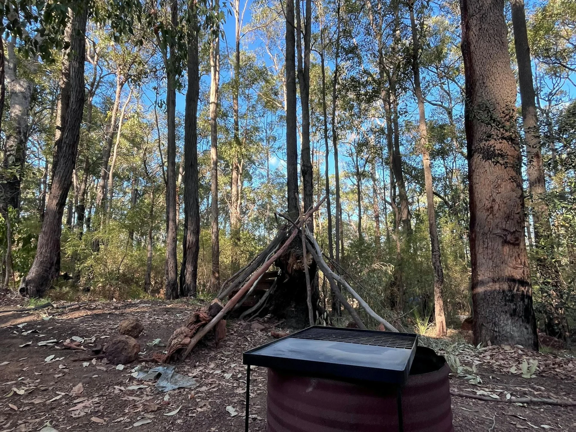 Cubbies and camp fires