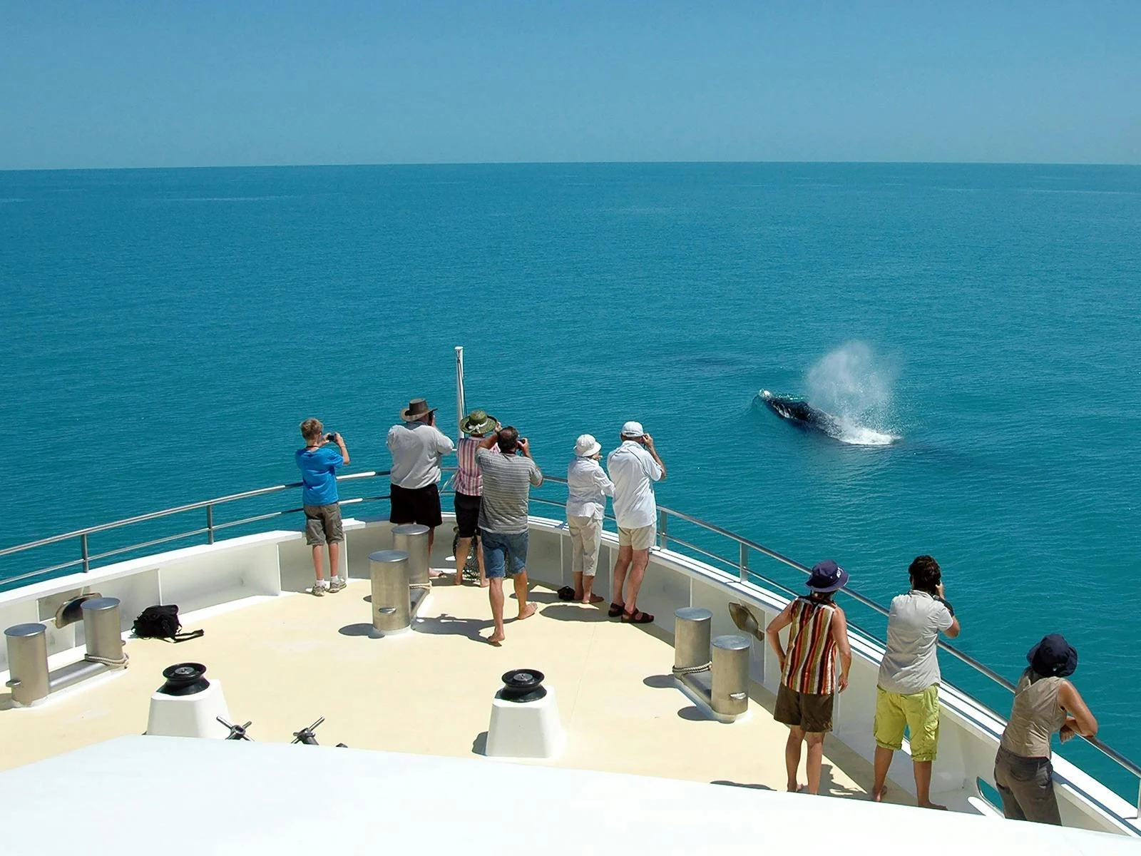 Coral Expeditions, Spearwood, Western Australia