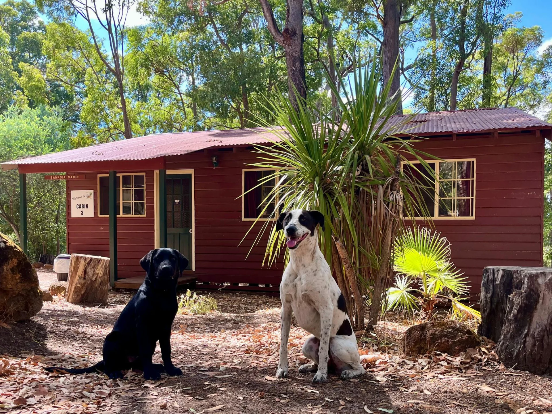 Dog friendly 2 bed cabin