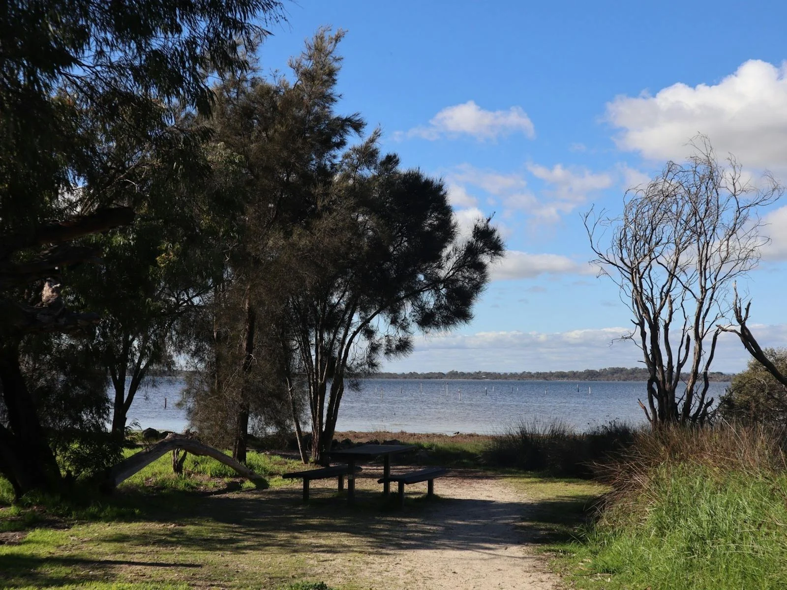 estuary view
